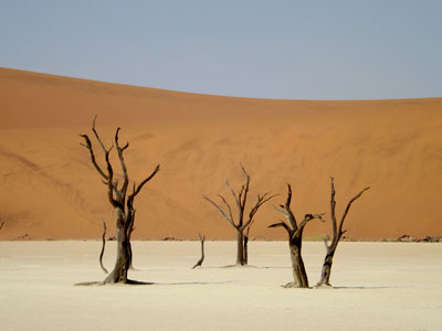 Dead Vlei