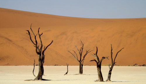 Dead Vlei - camping safari